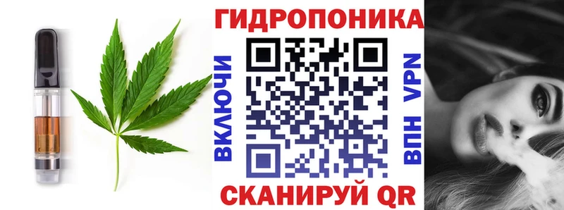 где можно купить   Няндома  Canna-Cookies марихуана 