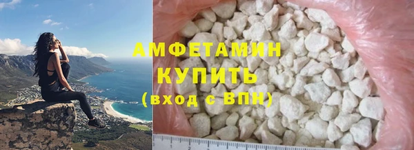 шишки Коряжма