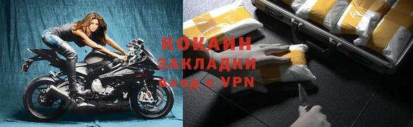 шишки Коряжма