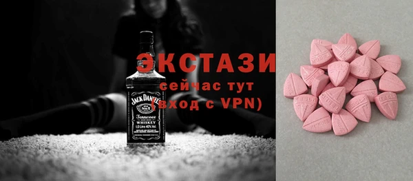 шишки Коряжма