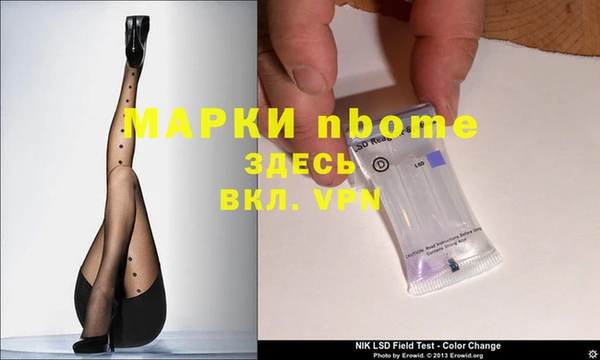 шишки Коряжма