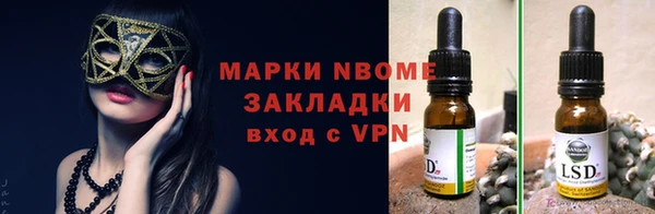 сатива Костерёво