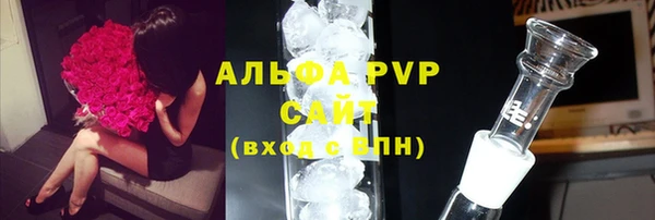 сатива Костерёво