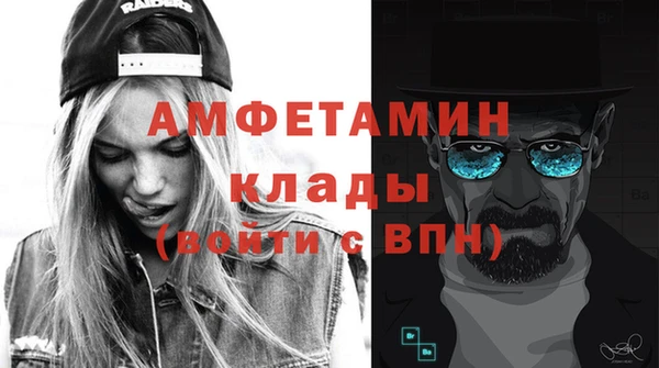 шишки Коряжма