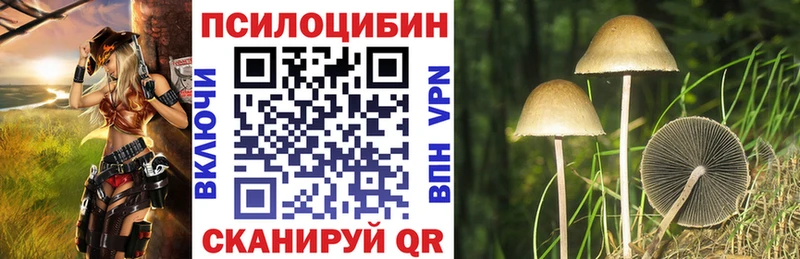 дарнет шоп Няндома Псилоцибиновые грибы ЛСД