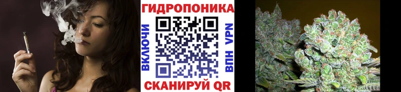гидра вход  Няндома  Канабис план 